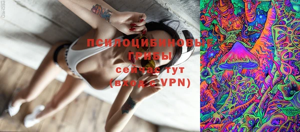 сатива Алексеевка