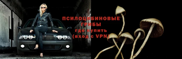 круглые Алзамай