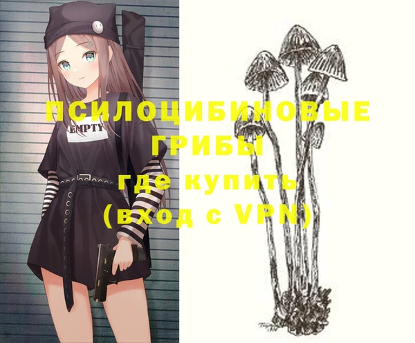 круглые Алзамай