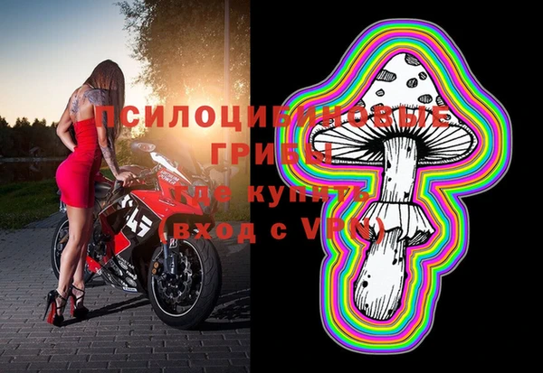 apvp Алексин