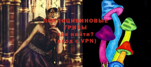 apvp Алексин