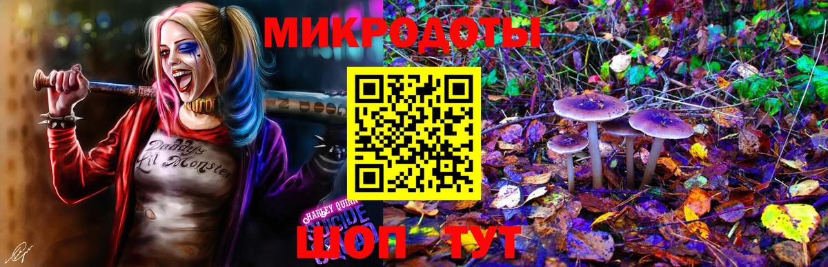 Псилоцибиновые грибы Cubensis Коркино