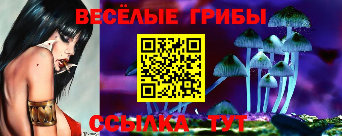 Галлюциногенные грибы MAGIC MUSHROOMS  Вход с VPN  Коркино 