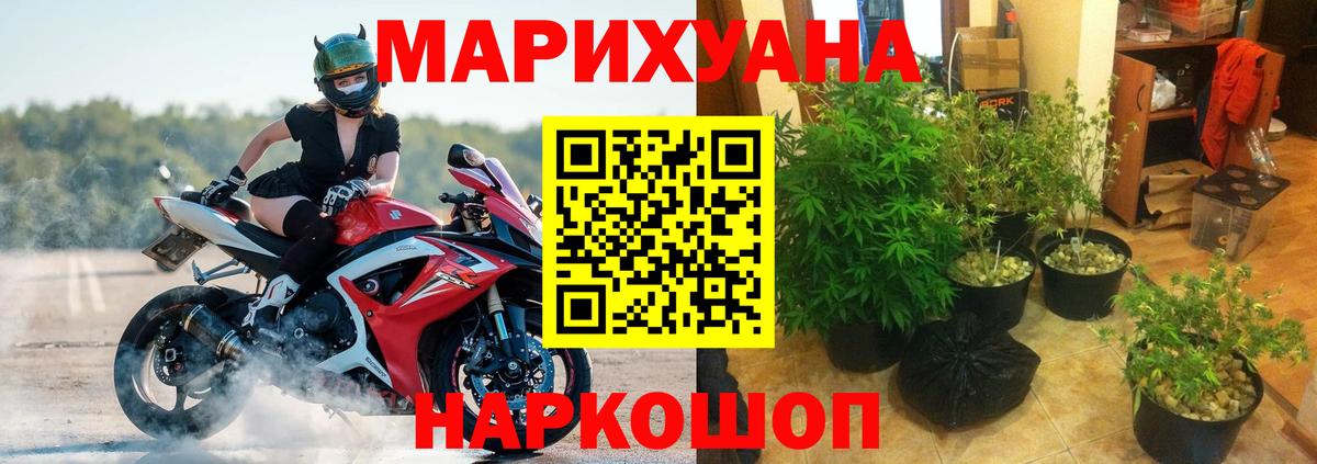 Шишки марихуана планчик Коркино
